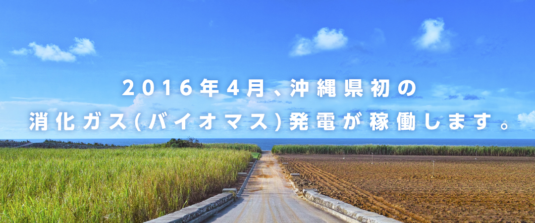 2016年4月、沖縄県初の消化ガス（バイオマス）発電が稼働します。